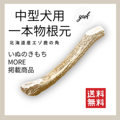 【長持ち】中型犬用　一本物　根元　エゾ鹿の角　犬のおもちゃ　鹿の骨　D