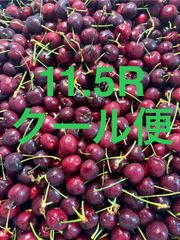 アメリカンチェリー 11.5R 箱込8.8キロ程度