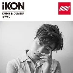 ＤＵＭＢ　＆　ＤＵＭＢＥＲ（ｉＫＯＮＩＣ　ＪＡＰＡＮ・ＹＧＥＸ　ＳＨＯＰ限定盤　ＪＩＮＨＷＡＮ盤）