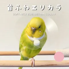 2024年最新】インコ エリザベスの人気アイテム - メルカリ