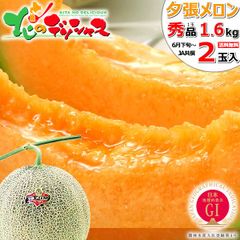 【出荷中】 北海道産 夕張メロン 2玉 (共撰/秀品/1玉 1.6kg) 大玉 メロン 赤肉メロン ゆうばりメロン 果物 フルーツ お中元 ギフト 贈り物 お祝い 内祝い プレゼント ご家庭用 北海道 グルメ お取り寄せ