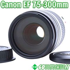 美品 Canon EF 75-300mm USM II キャノン #8382