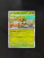 WCS2025 バインダー アナハイム ポケモンセンター カード