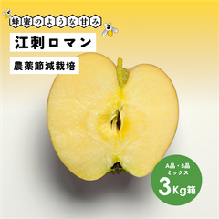 蜂蜜のような濃い甘さが魅力！ 9月収穫 幻のリンゴ 「江刺ロマン3キロ箱A品B品」農林水産大臣賞 長野県産 安曇野 信州産 幻