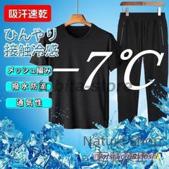 狼犬牙サソリ蝎座  摆件  装飾品 現代工芸品 美術品 狼犬牙サソリ蝎座 ?件 装飾品 現代工芸品 美術品 - メルカリ