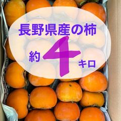 【クール便送料無料】甘柿☺️約4kg 長野県産　必ず商品説明ご覧下さい。