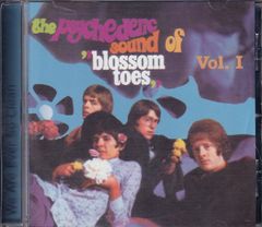 Blossom Toes / We Are Ever So Clean - Ps