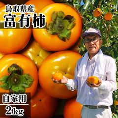 11月下旬より収穫次第購入順に発送☆鳥取県産 富有柿(ふゆうかき)【自家用】2kg程度(6-8玉入り)農家指定果物カキかき