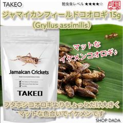【昆虫スナック】ジャマイカンフィールドコオロギ 15g