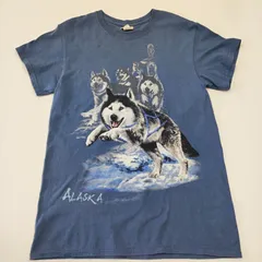 シベリアンハスキー  アニマルプリント アラスカ Polar Graphics Gardner アメリカTシャツ Sサイズ