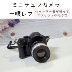 ミニチュアカメラ　ミニカメラ　フラッシュが光る☆　一眼レフ　ドール用