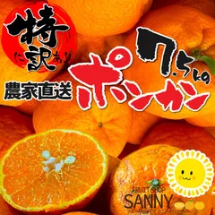 2026年最新】ぽんかんの人気アイテム - メルカリ