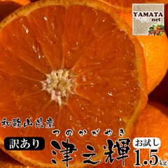 【予約】津之輝 みかん 和歌山県産 つのかがやき 訳あり お試し1.5kg 発送開始予定日:２月上旬〜