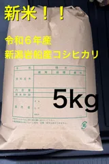 2025年最新】岩船産コシヒカリの人気アイテム - メルカリ