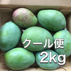 摘果マンゴー 加工用 20キロ 2025年最新】摘果マンゴーの人気アイテム - メルカリ