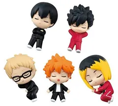 ハイキュー!! ねむらせ隊 全5種セット