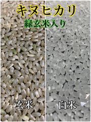 令和6年産 キヌヒカリ 白米10キロ 淡路島産 産地直送 - メルカリ