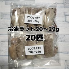 爬虫類のエサ　国産冷凍ラット　ファジー　20〜29g 20匹