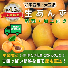 生あんず～料理・加工向き～【内容量】約4.5kg【配送方法】通常配送【サイズ】L以上【品目】杏（あんず）【品種】当店お任せ【産地】長野県【規格】ご家庭用A品B品混合【詰め方】バラ詰め【配送までの日数】1～4日