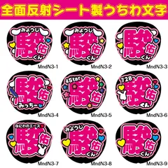 G反射うちわ文字【MndN3】F3Lファンサ文字　なにわ駿佑反射名前文字道枝男子女子みちえだオーダー文字連結文字ボードパネルスローガンハングルみっちーなにわ男子女子しゅんすけ俊介みち俊輔