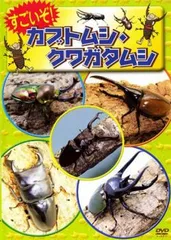 すごいぞ!カブトムシ・クワガタムシ【趣味、実用 中古 DVD】レンタル落ち