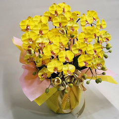 胡蝶蘭S-黄 5F  高さ50cm×巾40cm 造花・光触媒コーティング
