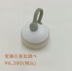 snow peak(スノーピーク) LEDランタン たねほおずき ES-0401 USB-C充電式/電池式