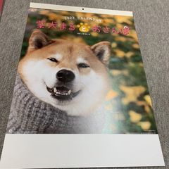 2023  柴犬まるとおさんぽ　柴犬　犬　カレンダー