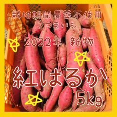 【新物】サツマイモ 紅はるか 5kg さつまいも【栽培期間農薬不使用野菜】