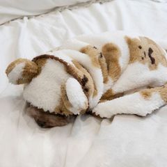 犬服  くまさん🧸ポンチョおくるみ🍼  残り1枚❣️