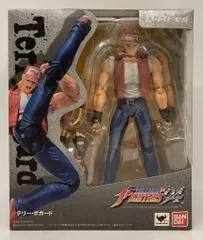 D-arts テリー・ボガード 検品開封のみ D-arts テリー・ボガード 検品開封のみ D-Arts テリー・ボガード