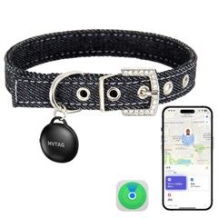 Item thumbnail for item a5166254-3012-464e-be12-81dfd412e4ef