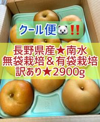 長野県産★南水梨★無袋&有袋★訳あり★2900g★クール便‼️