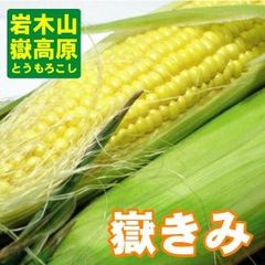 9.りょ！様専用6本【朝どれスーパースイートコーン甘々娘】農薬不使用