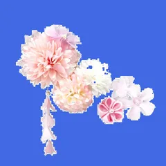 特価商品　髪飾り ドライフラワー 着物 和装 浴衣 花飾り 振袖 袴 ヘッドドレス ウエディング 結婚式 ブライダル ヘッドアクセサリー 花 花嫁 和風 卒業式 成人式 七五三