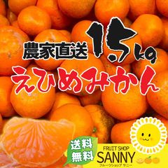 愛媛みかん（7日以内発送）外なり 愛媛みかん箱込1.2kg+保証分300g ※沖縄・離島・北海道は発送不可