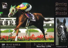 ダイイチルビー　メモリアル　サラブレッドカード　トレーディングカード 2025年最新】Yahoo!オークション -ダイイチルビーの中古品・新品