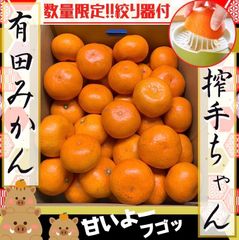 高糖系　有田みかん　4キロ 数量限定　絞り器付♡