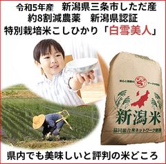 令和7年産 減農薬 新潟こしひかり白米20kg 新潟県三条市旧しただ村産 