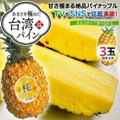 台湾産パイナップル「極」 3玉 Mサイズ
