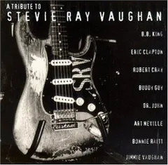 STEVIE RAY VAUGHAN /スティービーレイヴォーン　サイン　鑑定証 STEVIE RAY VAUGHAN /スティービーレイヴォーン サイン 鑑定証