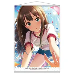 2024年最新】アイドルマスター シンデレラガールズ B2タペストリー