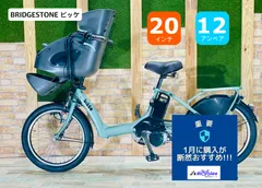 愛知静岡配送可 ビッケ 超人気モデル 子供乗せ電動アシスト