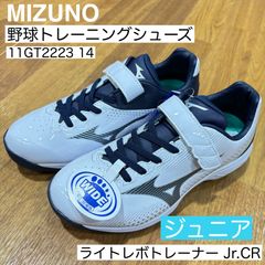 SALE 訳あり特価【新品】MIZUNO ウエーブモーメンタム 3 SALE 訳あり特価【新品】MIZUNO ウエーブモーメンタム 3