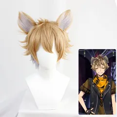 ラギー・ブッチ ディズニーツイステッドワンダーランド  耳付き ウィッグ 新品