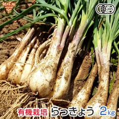 らっきょう 有機栽培 2kg 土付き 鹿児島県産 国産 JAS認証 大きさおまかせ ラッキョウ 辣韭 生 冷蔵便 発送期間5月～6月中旬のサムネイル