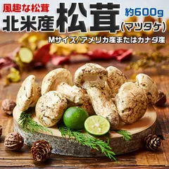 北海道　松茸　240g ④ 北海道 松茸 240g ④