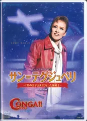 花組 宝塚大劇場公演 ファンタジー サン=テグジュペリ-「星の王…