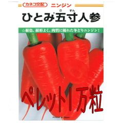 カネコ種苗　ひとみ五寸人参　ペレット１００００粒