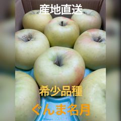 希少品種　秀品＋訳あり　りんご　大玉　ぐんま名月　3kg（8〜９個入り）　果物